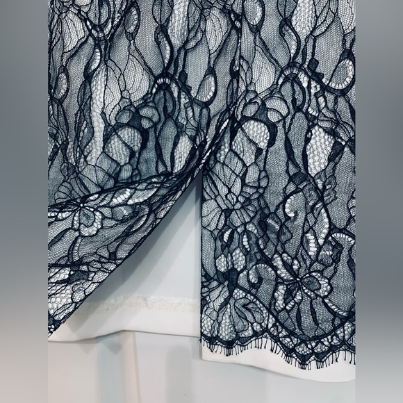 ANN TAYLOR Black Lace Pencil Skirt - Picture 4 of 8